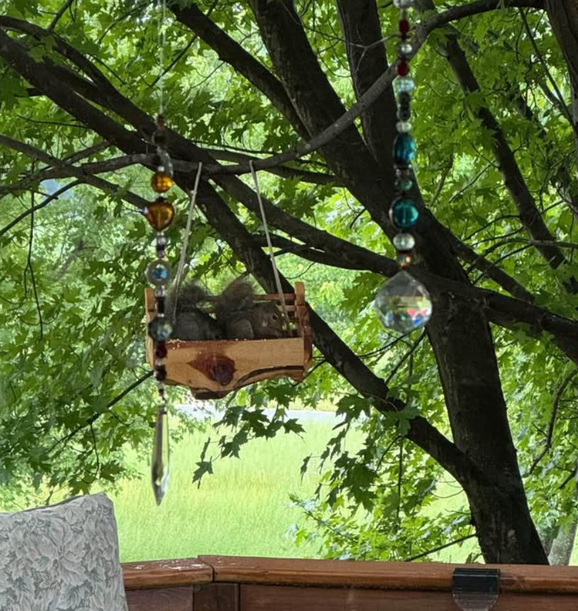 Cedar Squirrel Swing Feeder